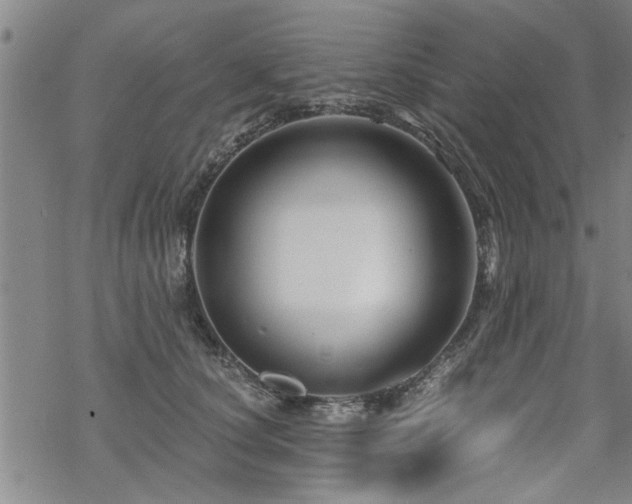 X0000069810660200605191047