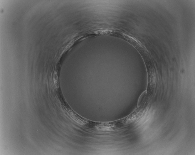 X0000069810661200605191047