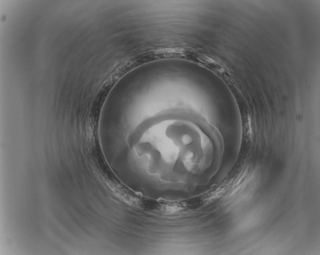 X0000069810662200605191047