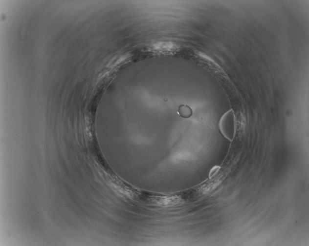 X0000069810663200605191047