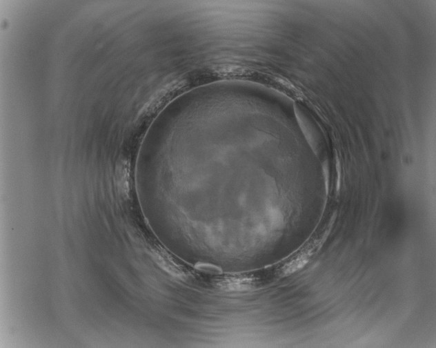 X0000069810664200605191047