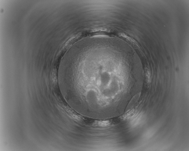 X0000069810665200605191047