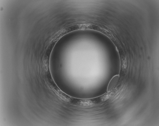 X0000069810666200605191047