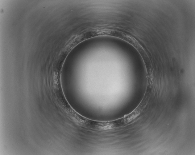 X0000069810667200605191047