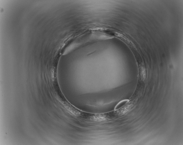 X0000069810668200605191047