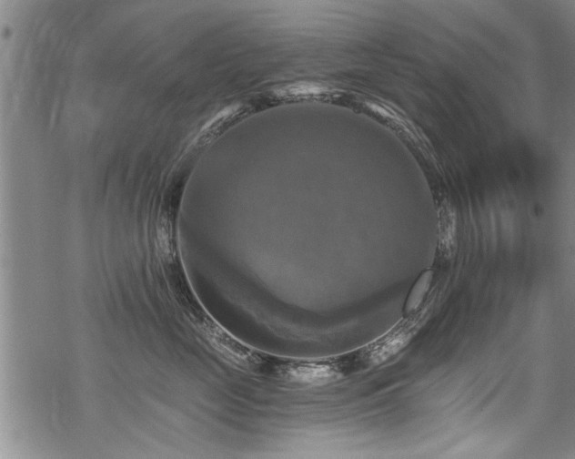 X0000069810669200605191047