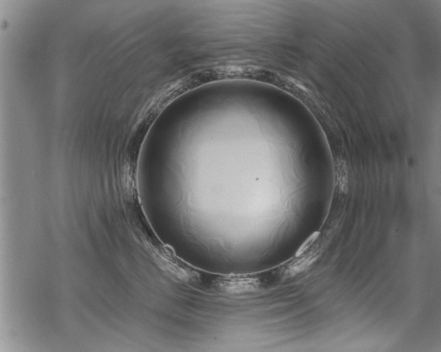 X0000069810670200605191047