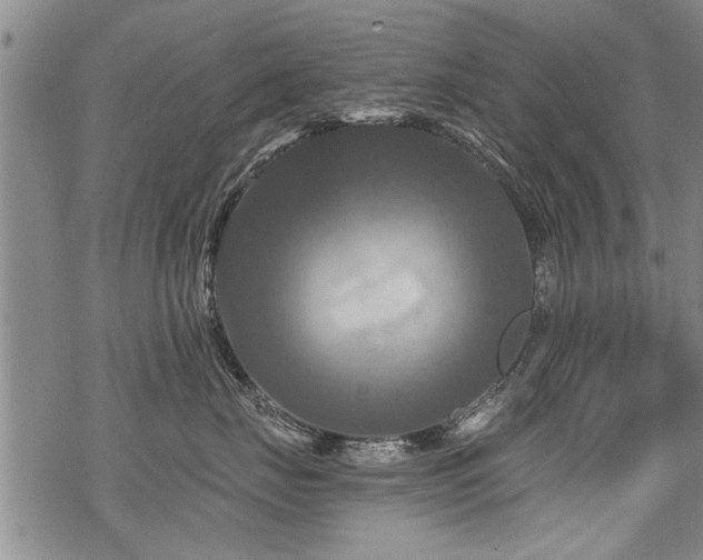 X0000069810671200605191047