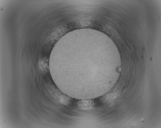 X0000069810672200605191047