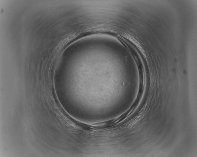 X0000069810673200605191046