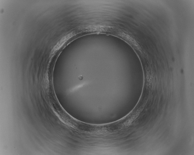 X0000069810674200605191046