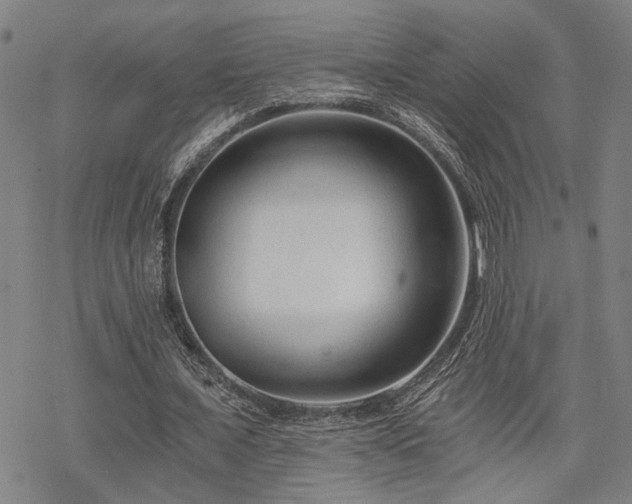 X0000069810675200605191046