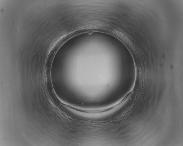 X0000069810676200605191046