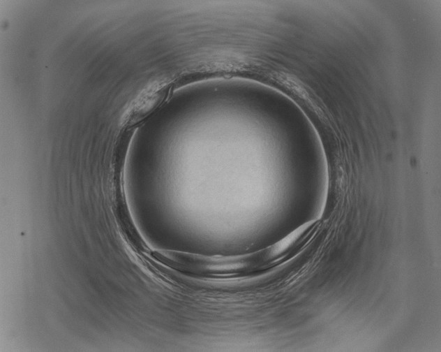 X0000069810677200605191046