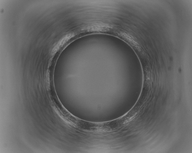 X0000069810678200605191046