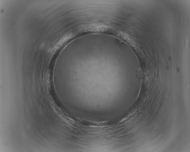 X0000069810679200605191046