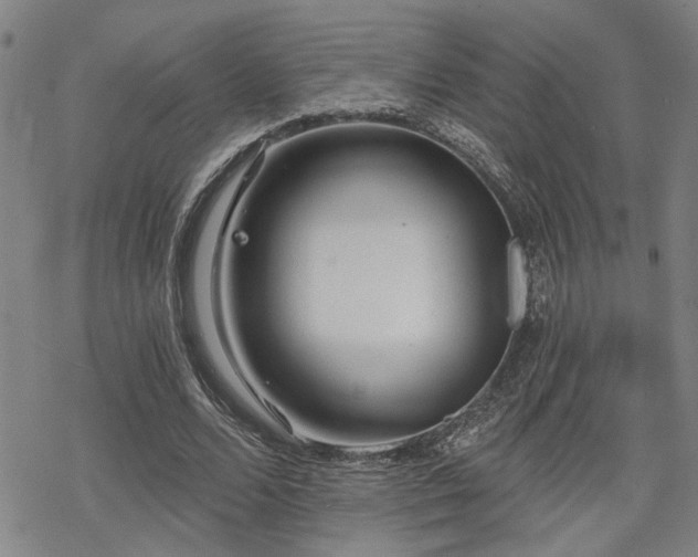 X0000069810680200605191046