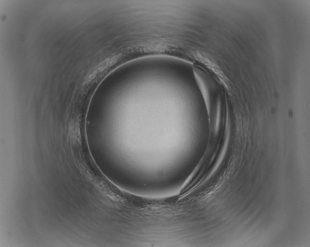 X0000069810681200605191046