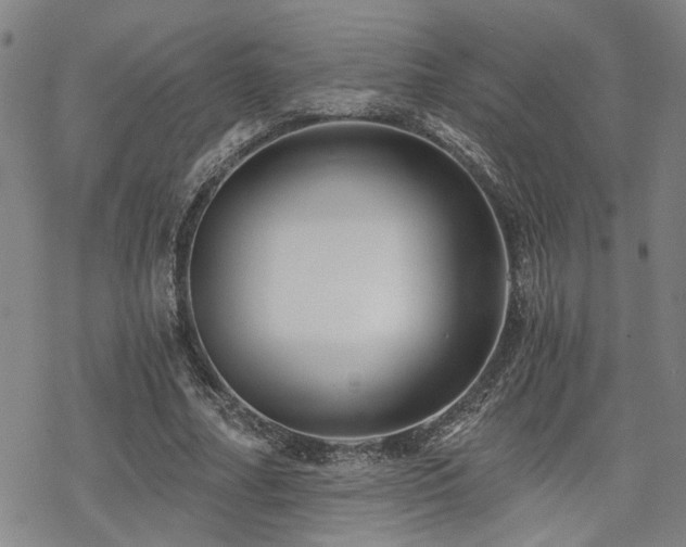 X0000069810682200605191046