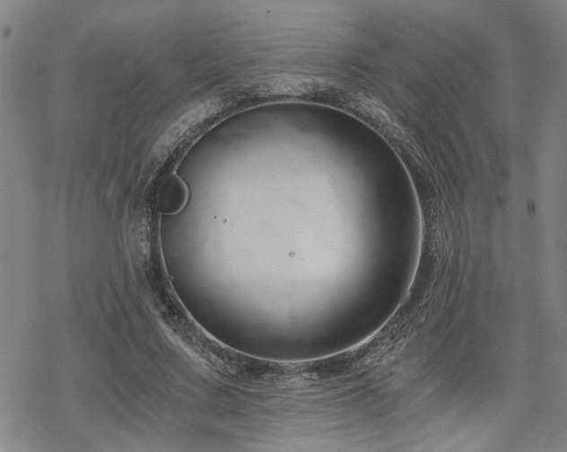 X0000069810683200605191046