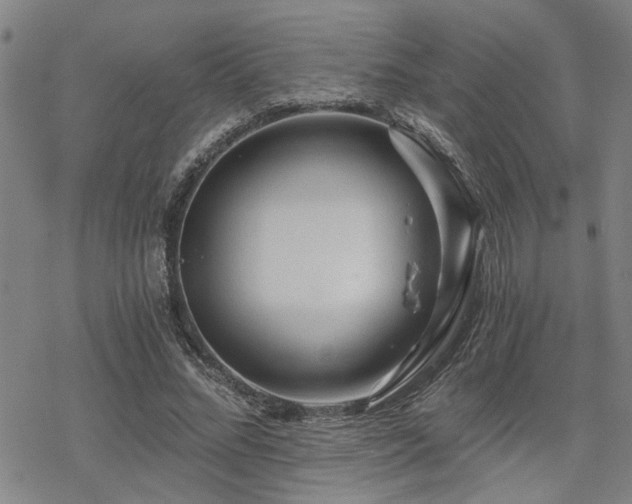 X0000069810684200605191046