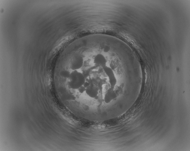 X0000069810687200605191046