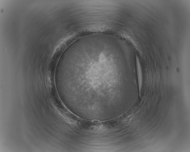 X0000069810688200605191046