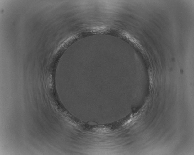 X0000069810689200605191046