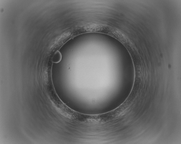 X0000069810690200605191046