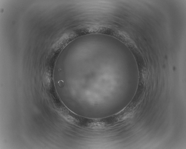 X0000069810691200605191046