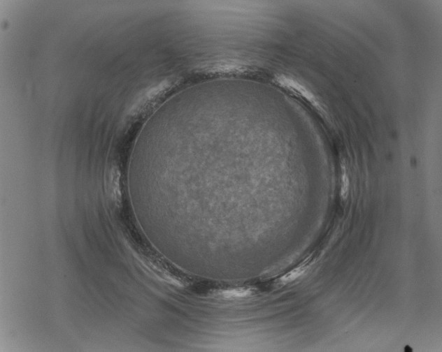 X0000069810692200605191046