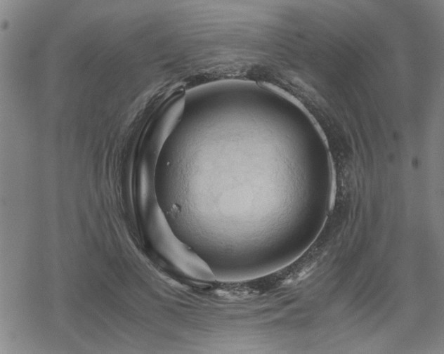 X0000069810693200605191046