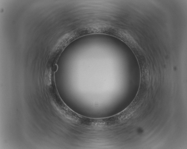 X0000069810694200605191046