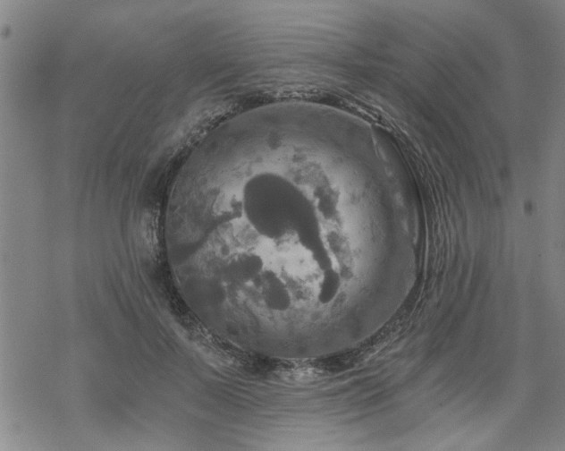 X0000069810695200605191046