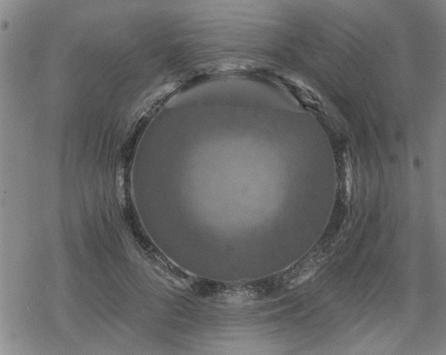 X0000069810696200605191046