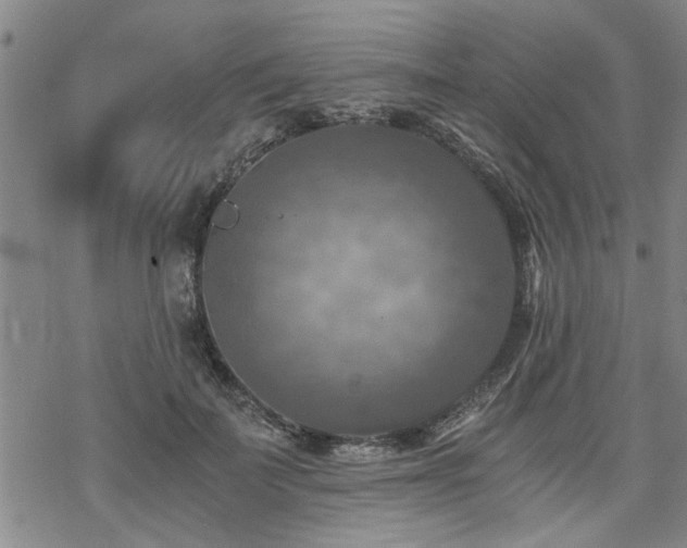 X0000069810699200605191046