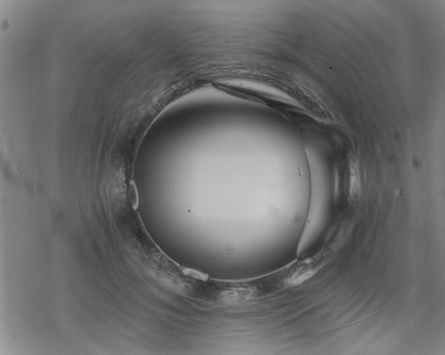 X0000069810700200605191046