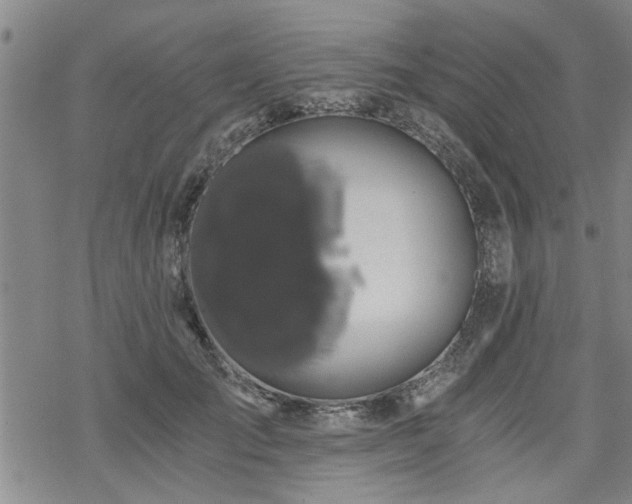 X0000069810701200605191046