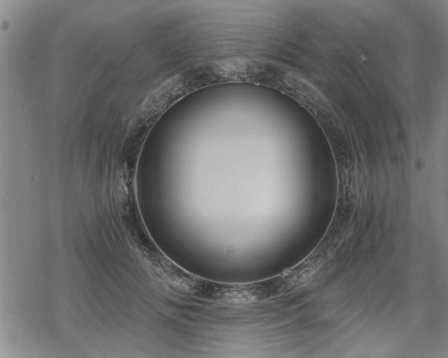 X0000069810702200605191046