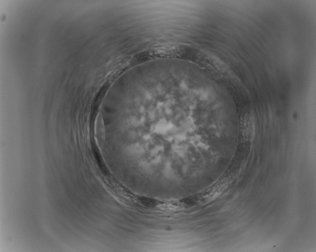 X0000069810703200605191046