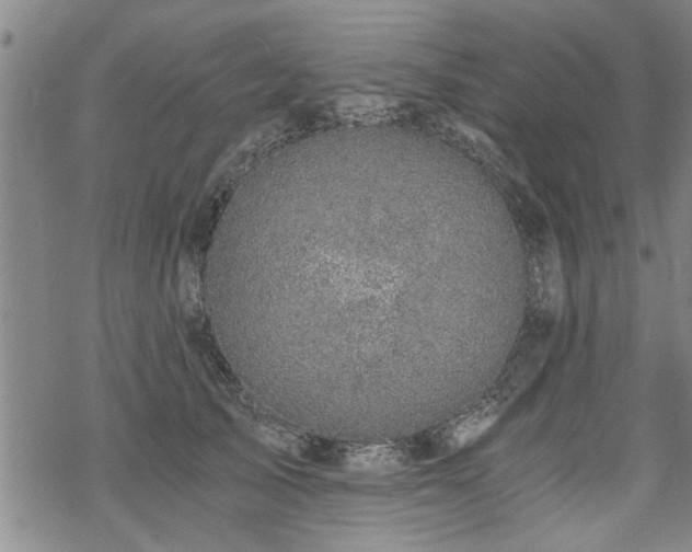 X0000069810705200605191046