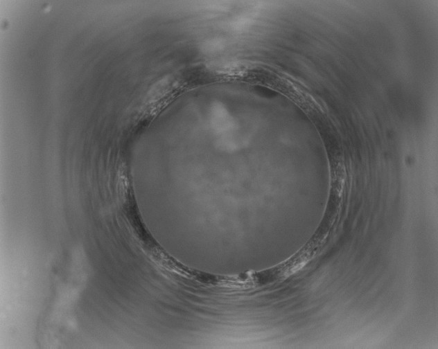 X0000069810707200605191046