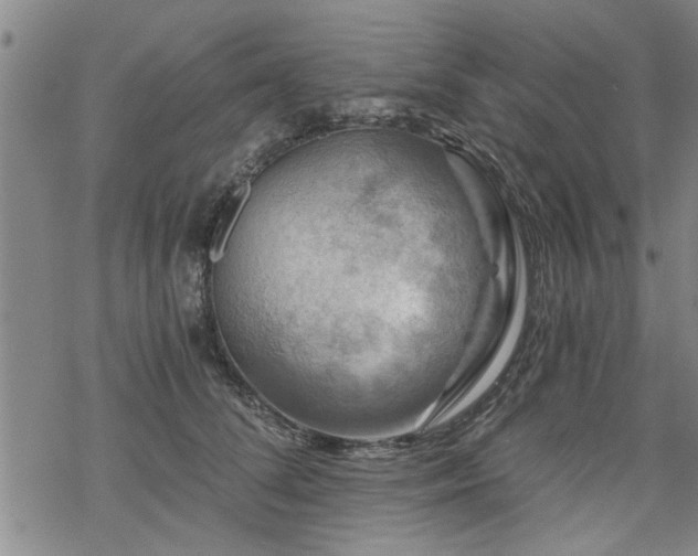 X0000069810708200605191046