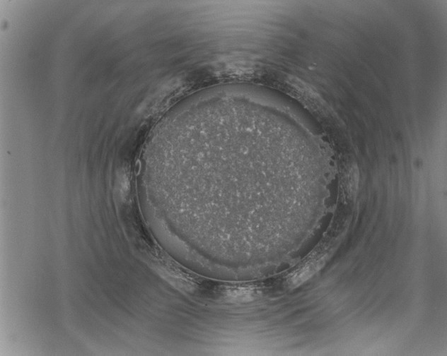 X0000069810709200605191046