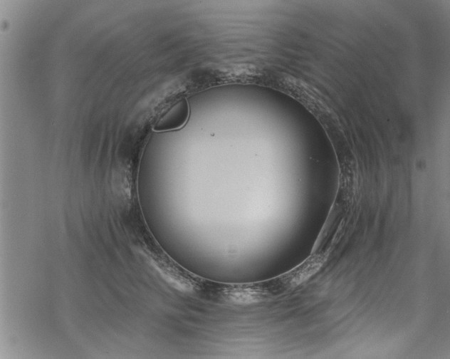 X0000069810710200605191046