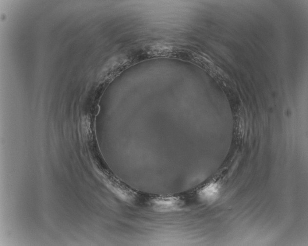 X0000069810711200605191046