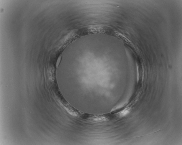 X0000069810712200605191046