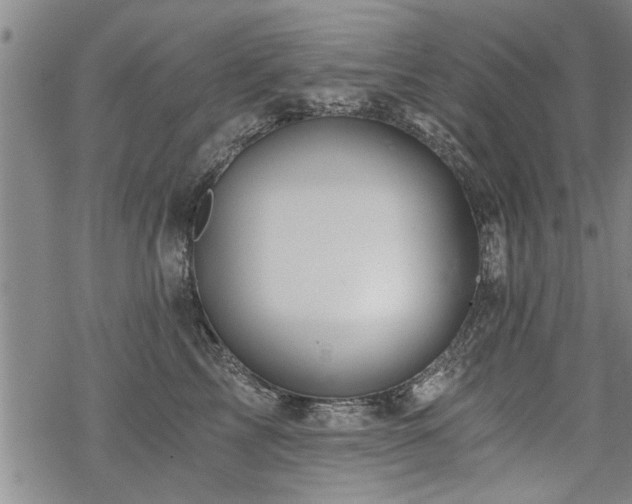 X0000069810713200605191046