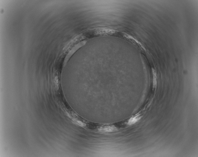 X0000069810716200605191045