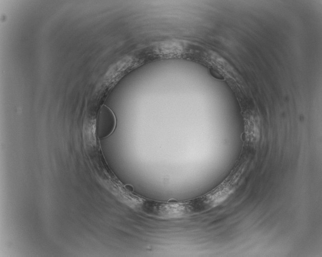 X0000069810717200605191045